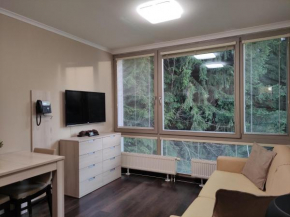 WELLNESS APARTMÁN RESIDENT HARRACHOV C306 Apartmán 2KK s kuchyní, balkonem a výhledem do lesa
